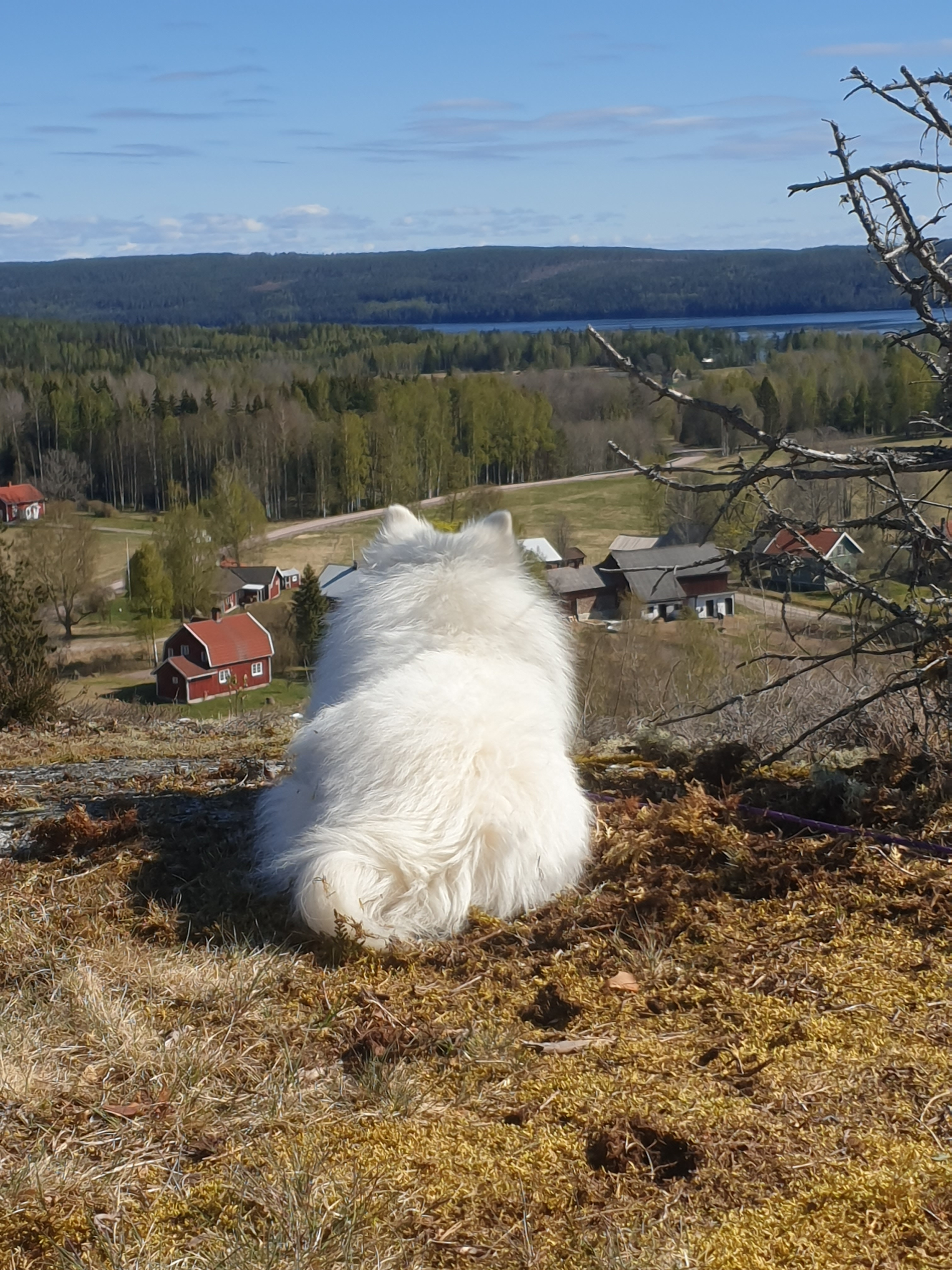 Foto: Jennifer Jonasson