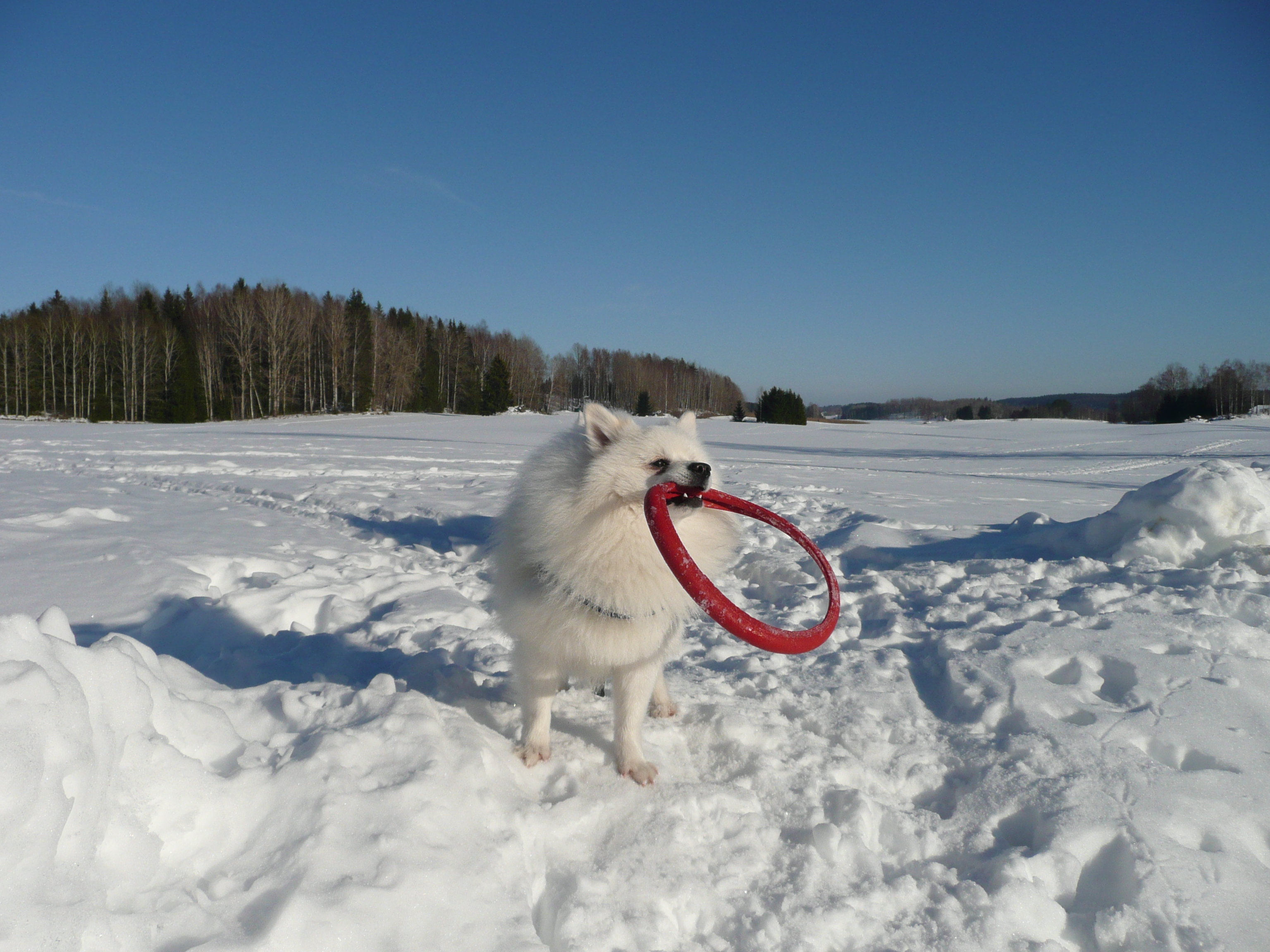 Foto: Kerstin Hammarquist