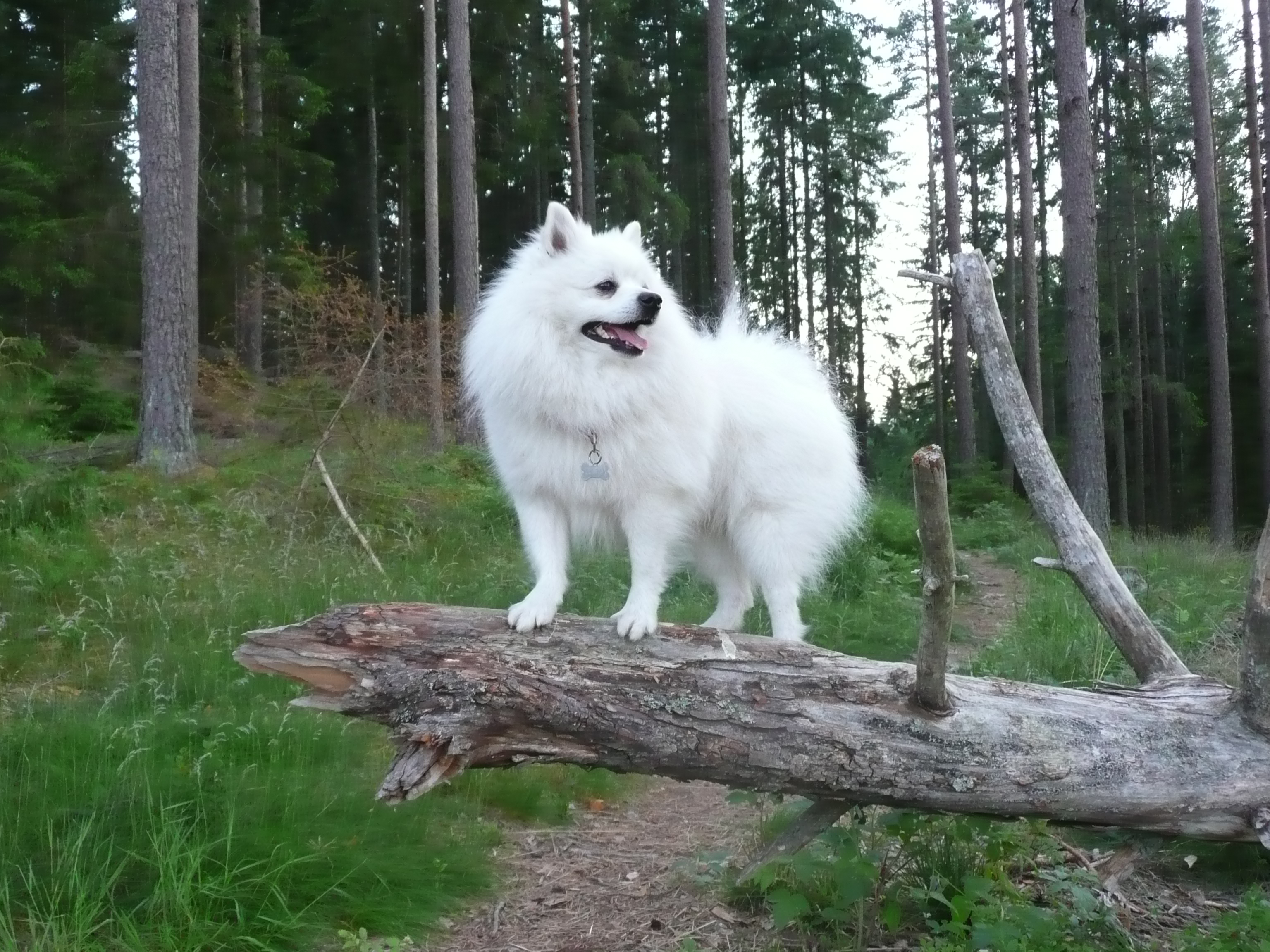 Foto: Kerstin Hammarquist