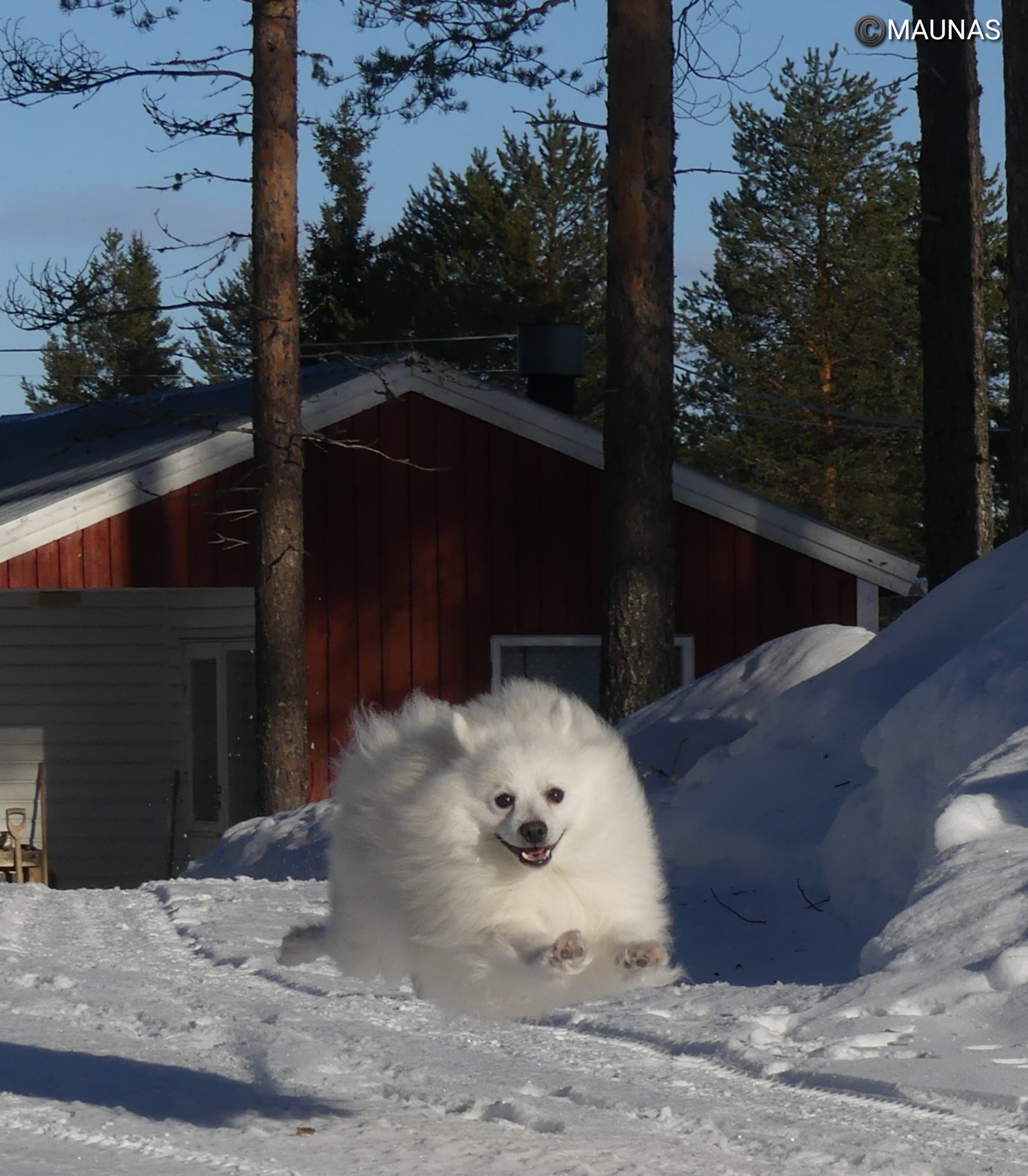 Foto: Mauritz Näsänen