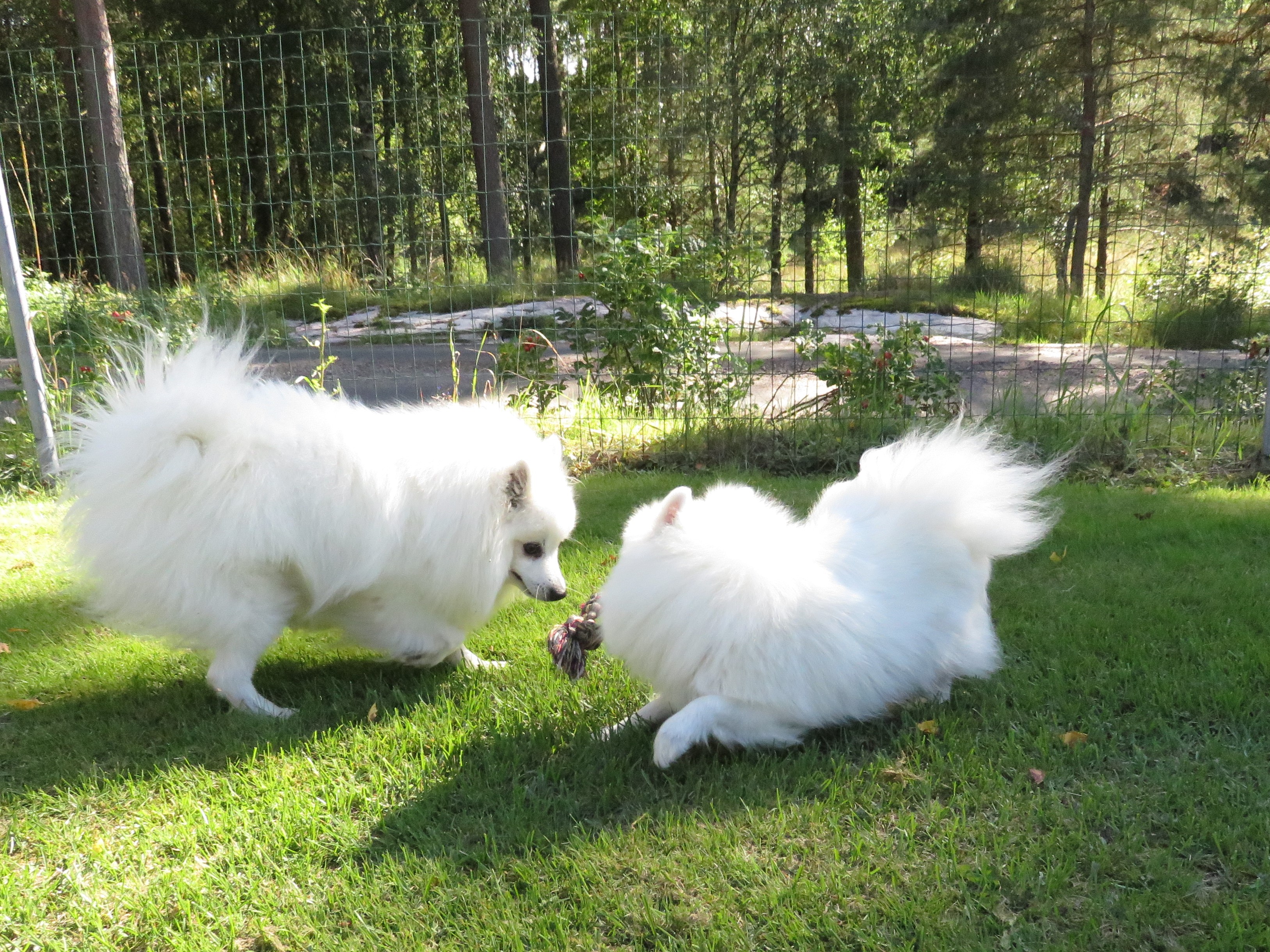 Foto: Suzanne Lindskog