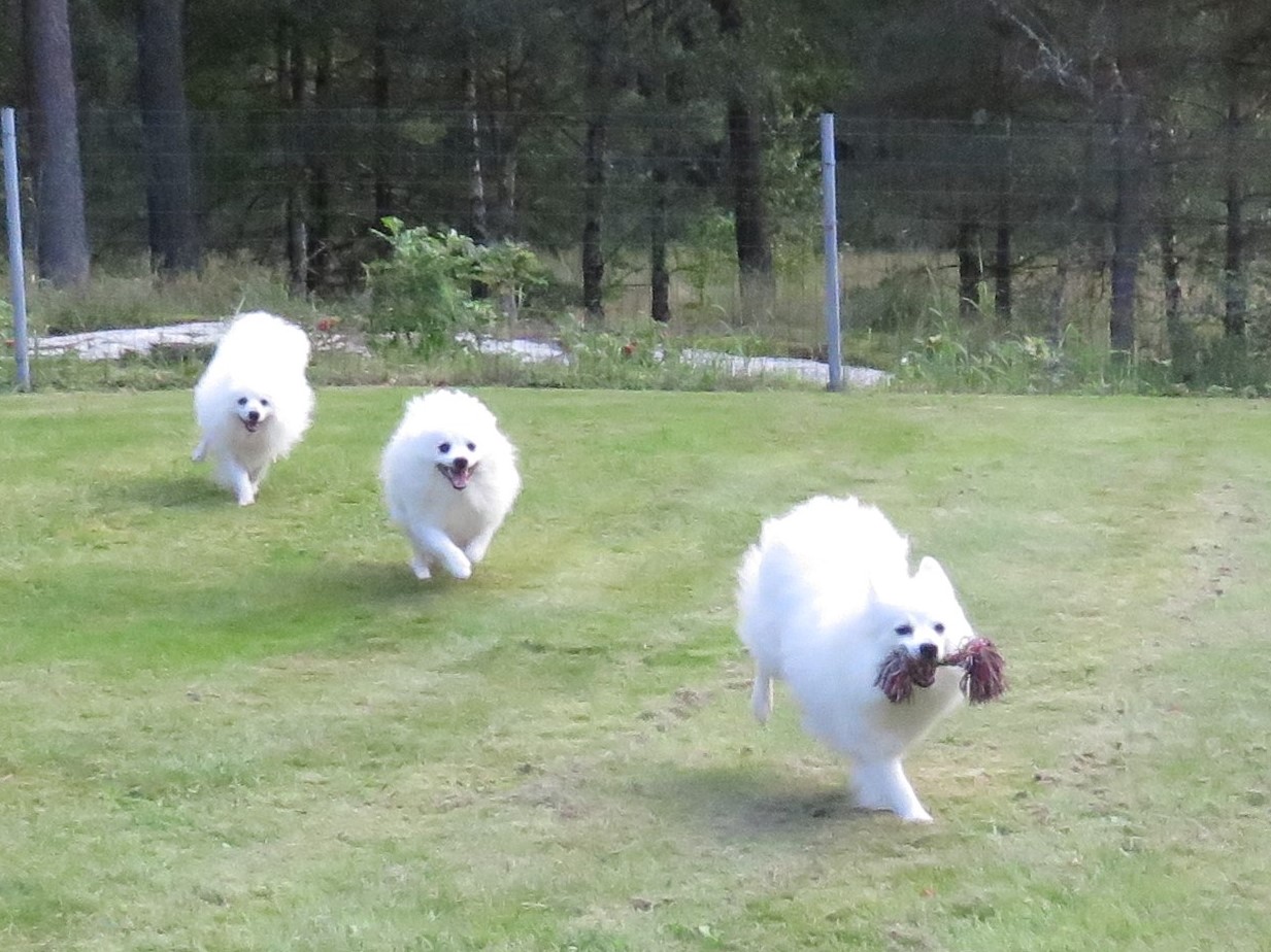 Foto: Suzanne Lindskog