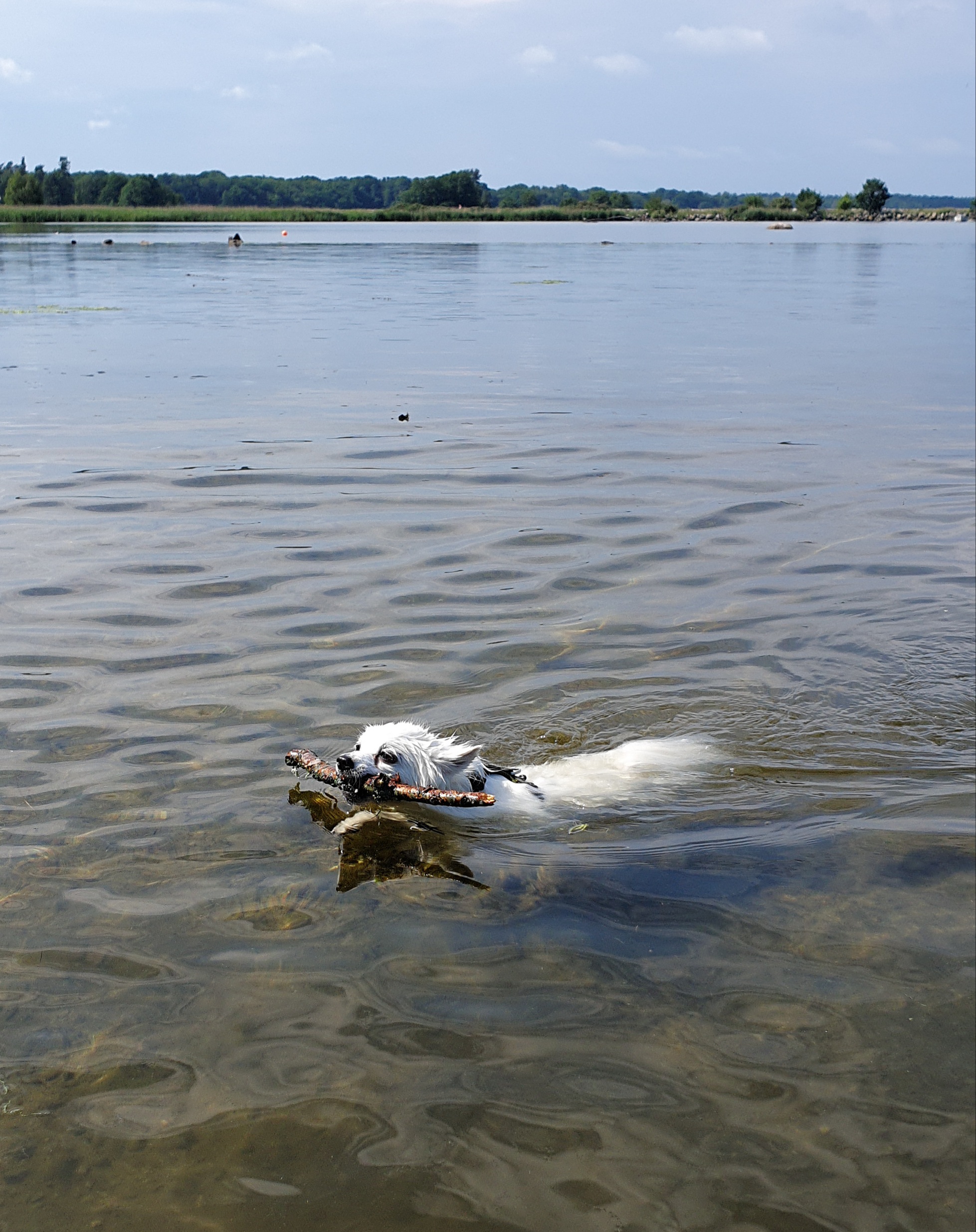 Foto: Heidi Bergholm