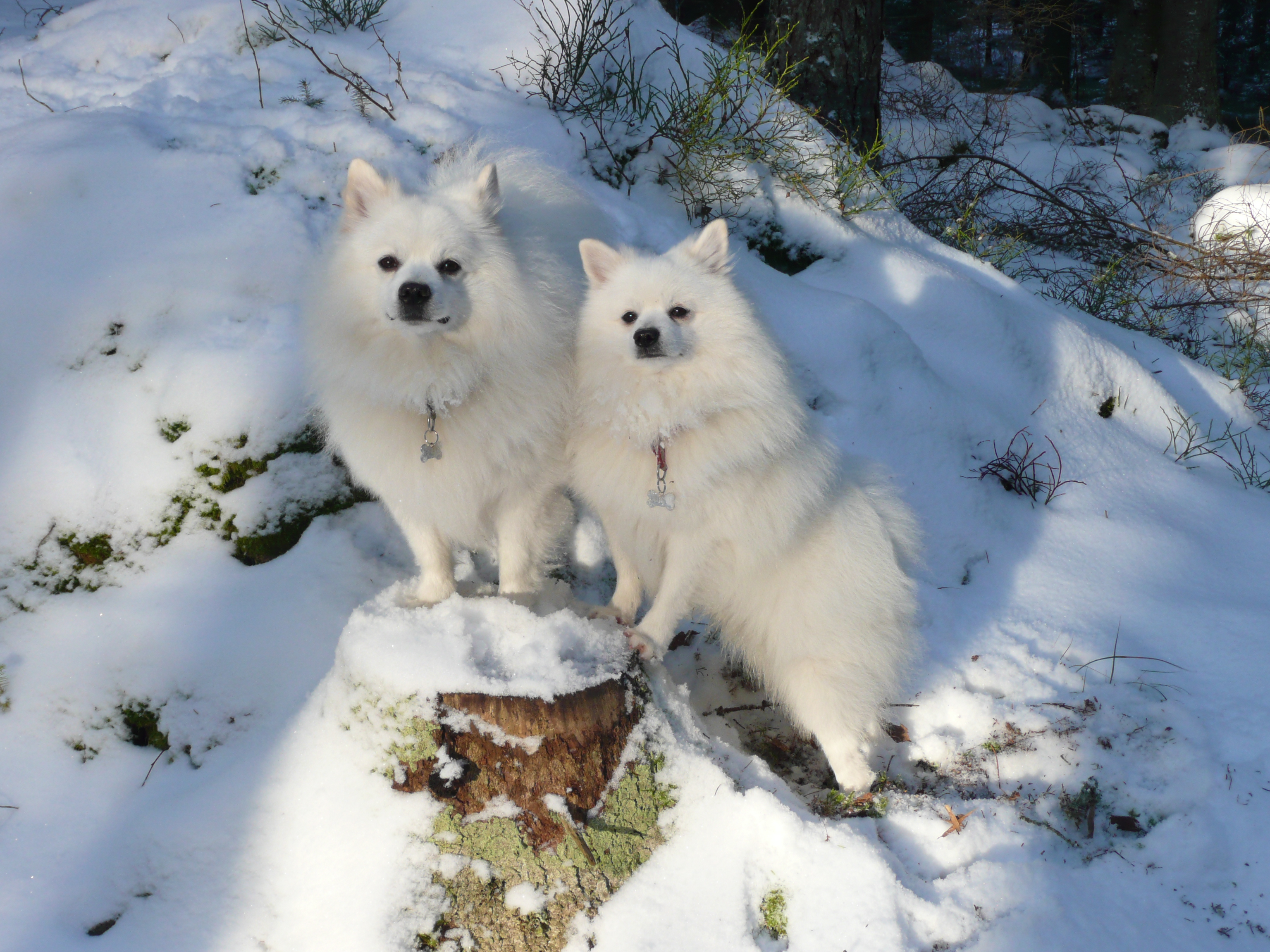 Foto: Kerstin Hammarquist