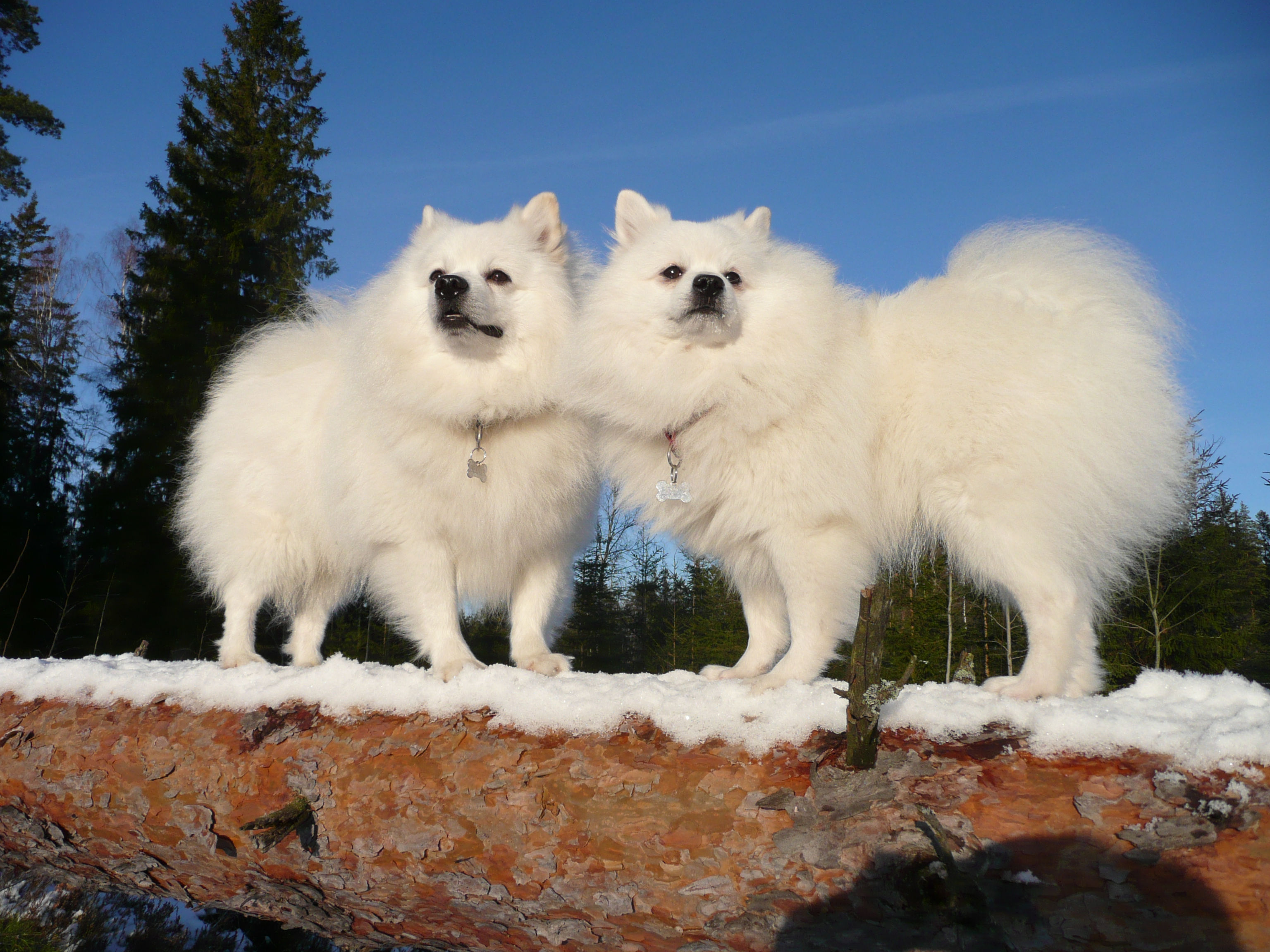 Foto: Kerstin Hammarquist