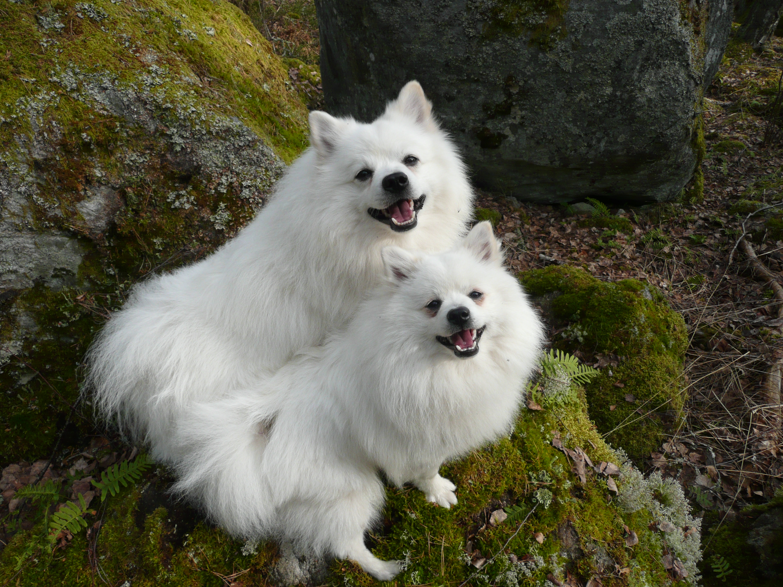 Foto: Kerstin Hammarquist