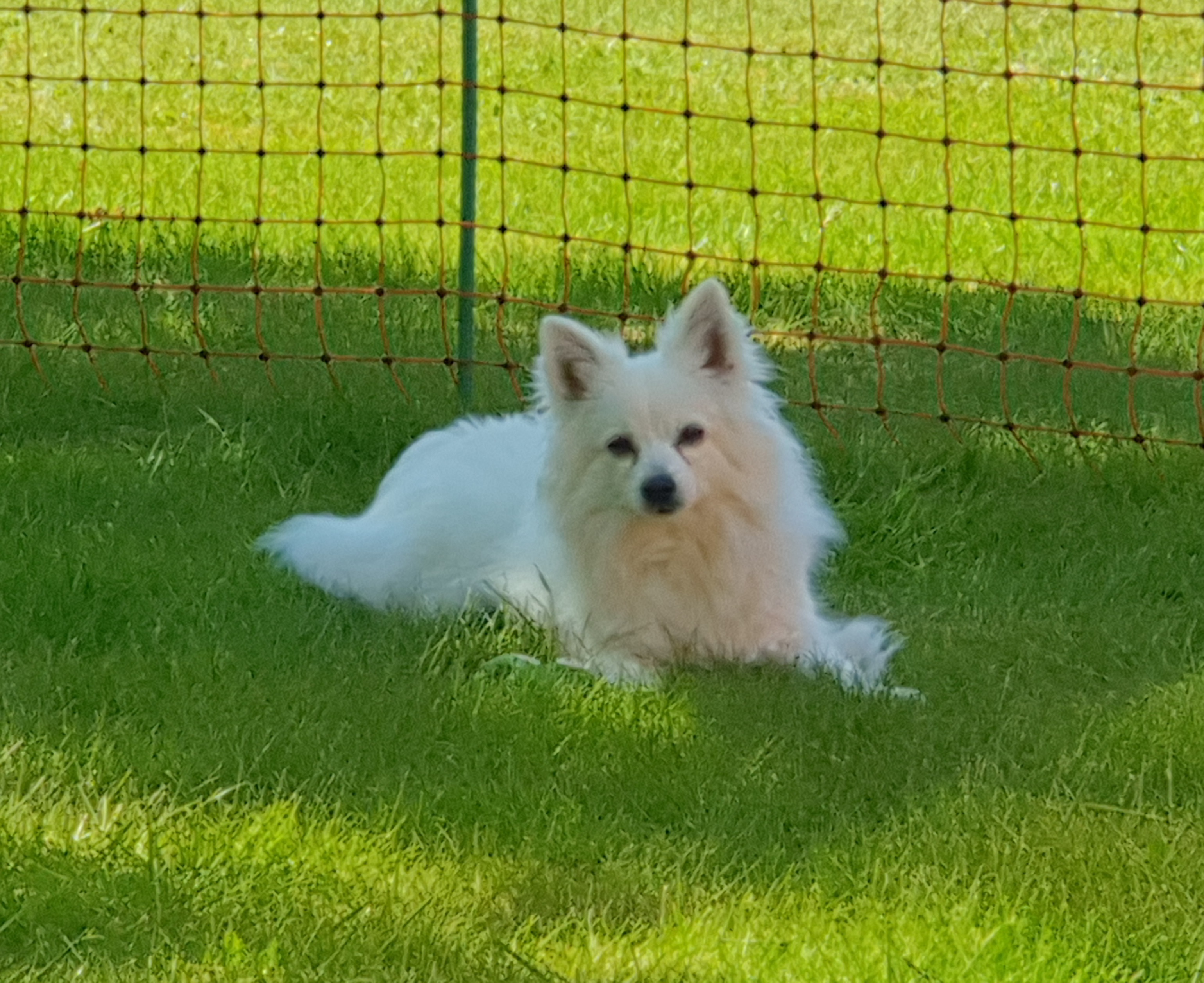 Foto: Heidi Bergholm