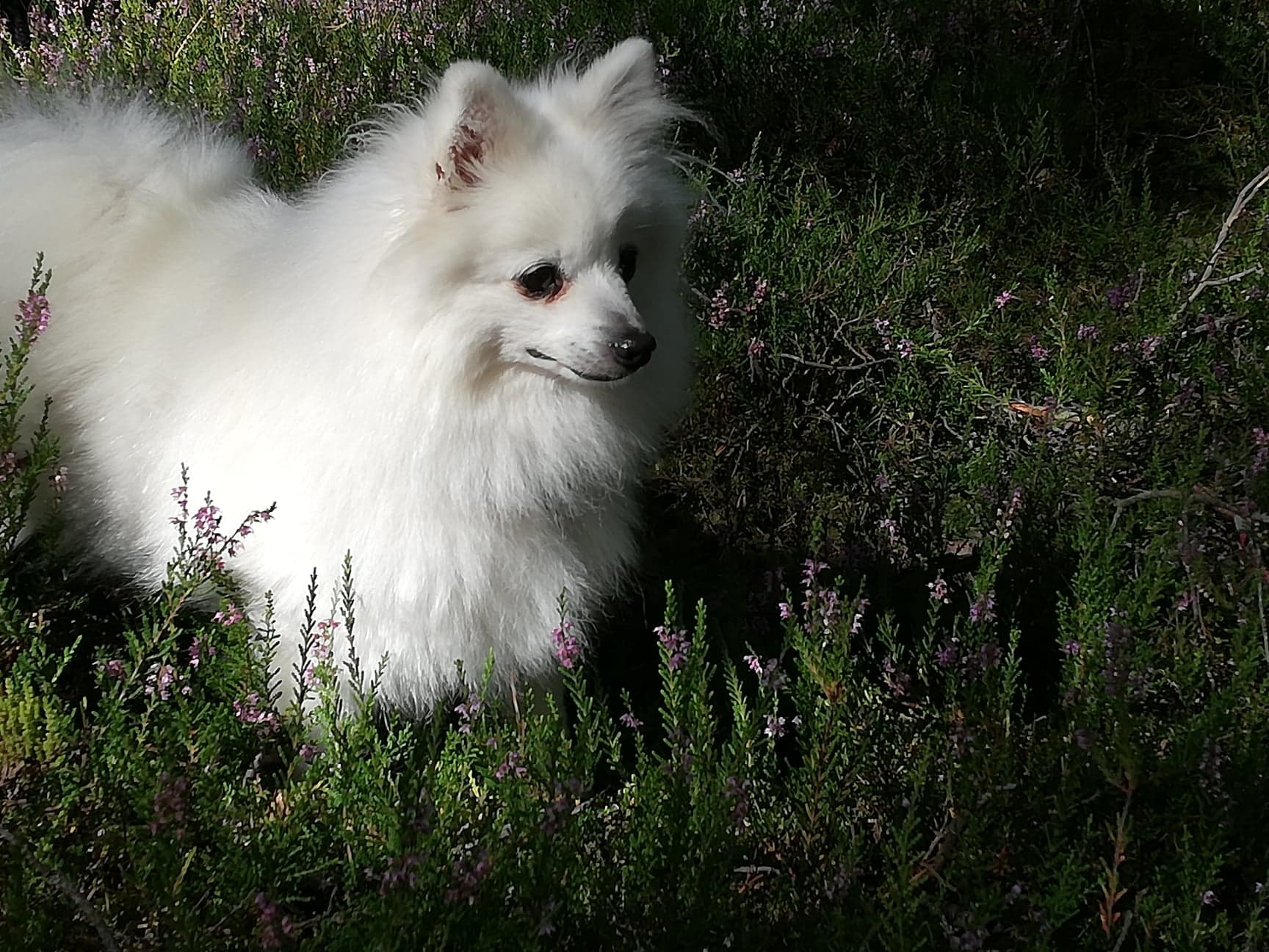 Foto: Suzanne Lindskog