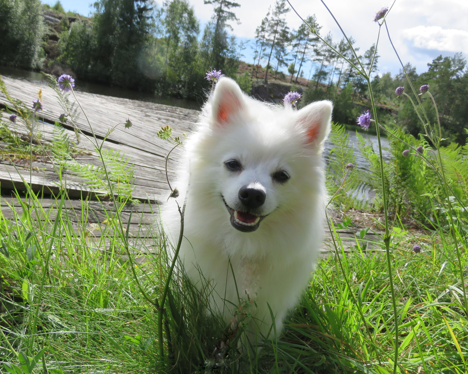 Foto: Suzanne Lindskog