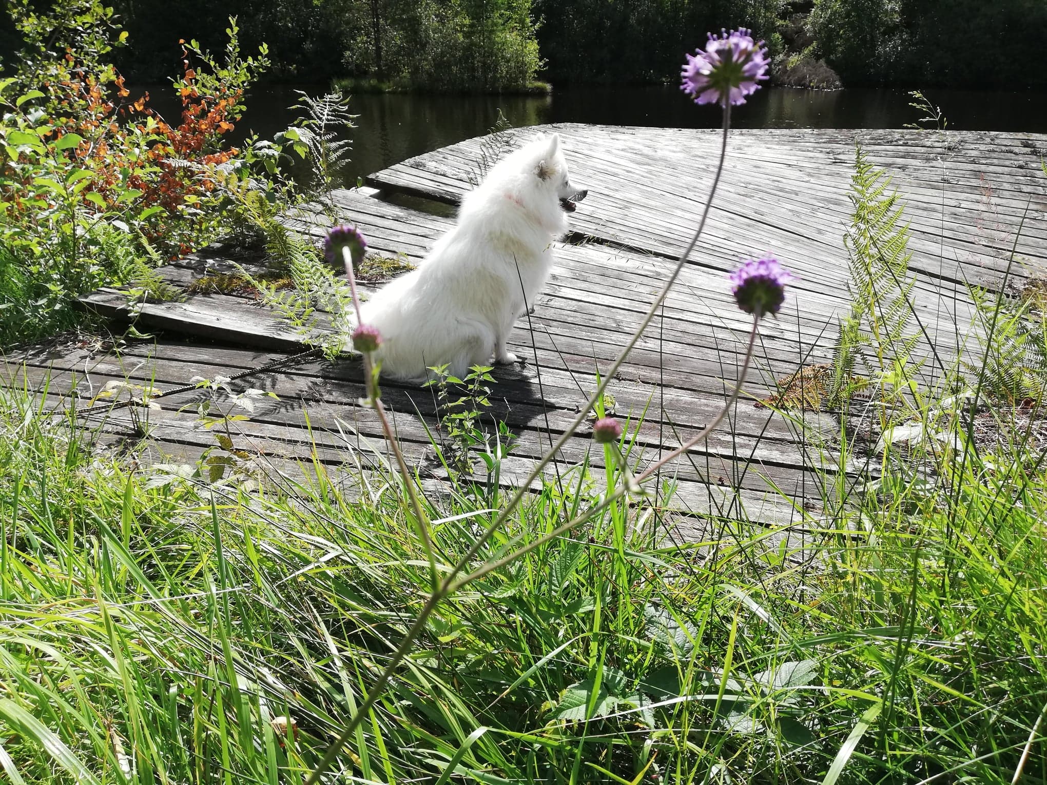 Foto: Suzanne Lindskog