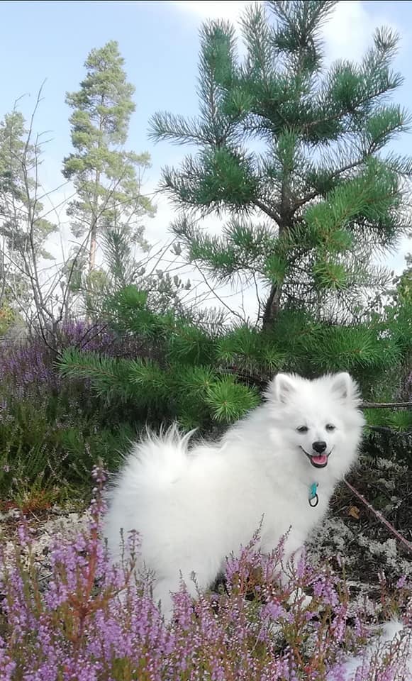 Foto: Suzanne Lindskog