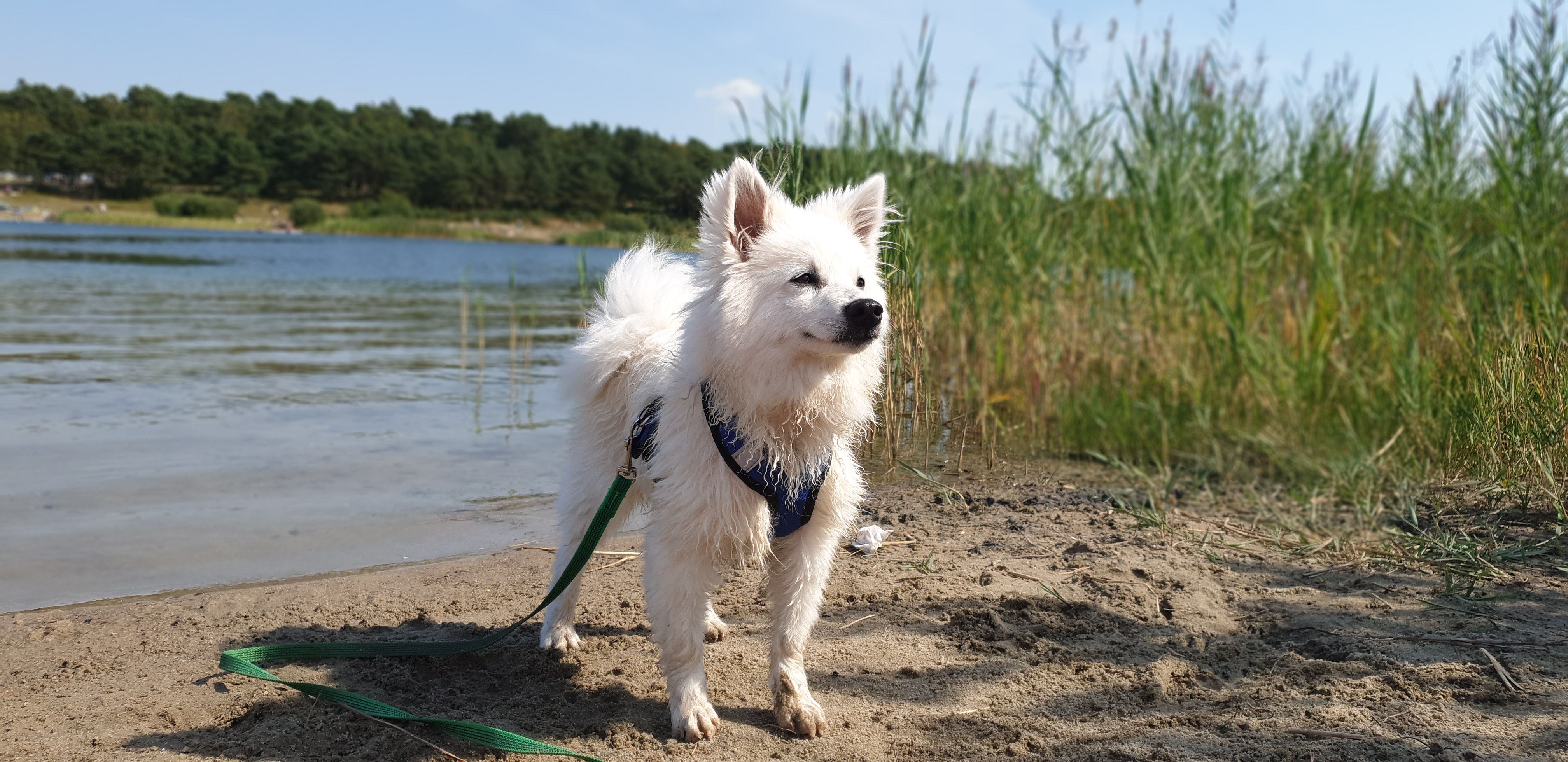 Foto:  Isabelle Athle