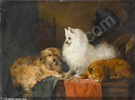 "A Volpino Italiano and other dogs in an interior"